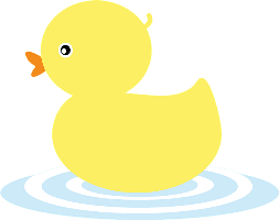 duck/утка