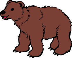 bear/медведь
