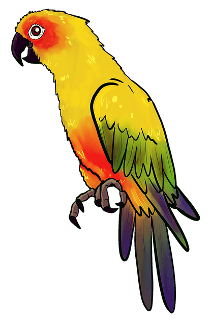 попугай - parrot
