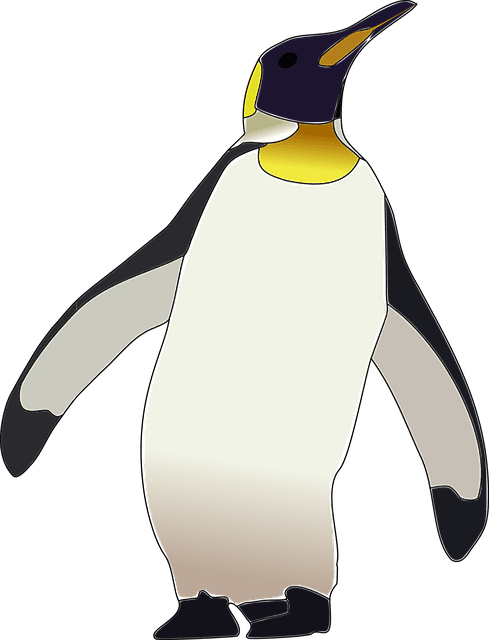пингвины - penguins