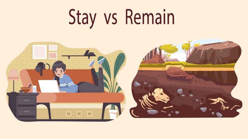разница между stay и remain
