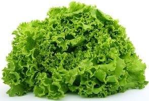 Lettuce/салат