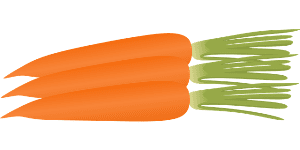 Carrot/морковь