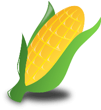 Corn/кукуруза