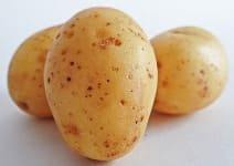 Potato/картофель