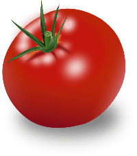 Tomato/помидор